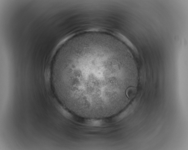 X0000113780831200909301148