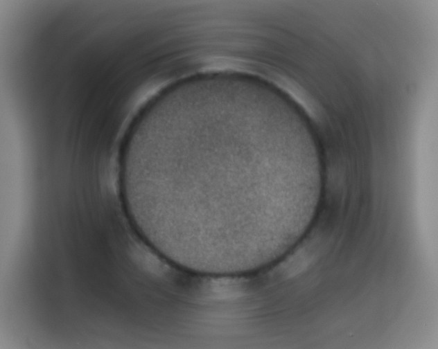 X0000113780832200909301148