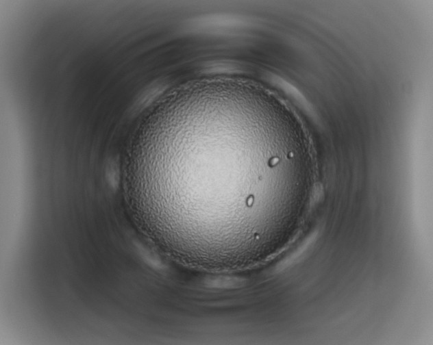 X0000113780833200909301148