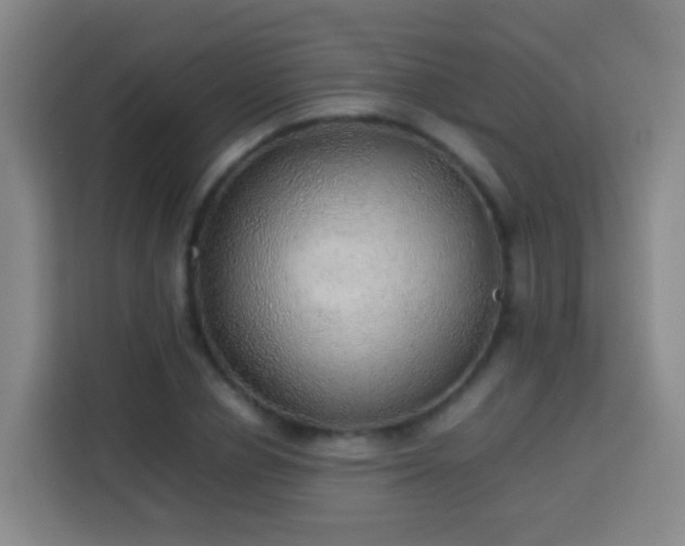 X0000113780834200909301148