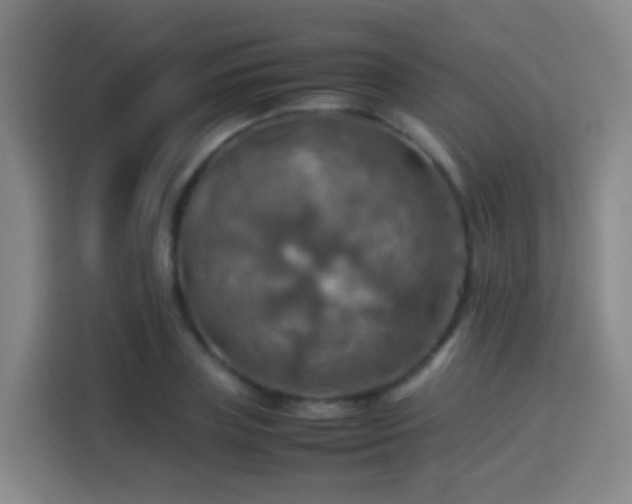 X0000113780835200909301148
