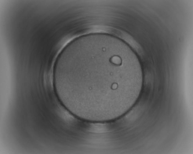 X0000113780836200909301148