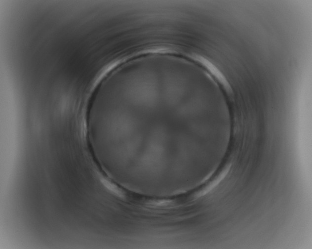 X0000113780837200909301148