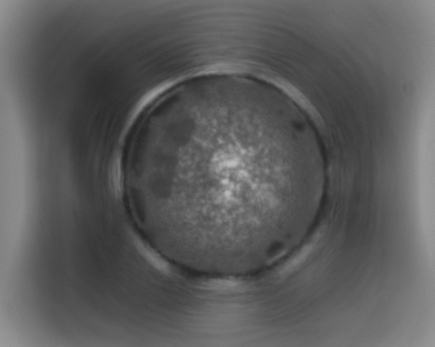 X0000113780838200909301148