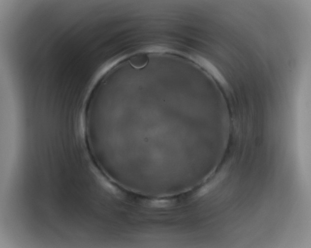 X0000113780839200909301148