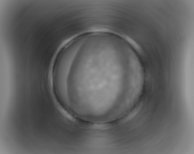X0000113780840200909301148