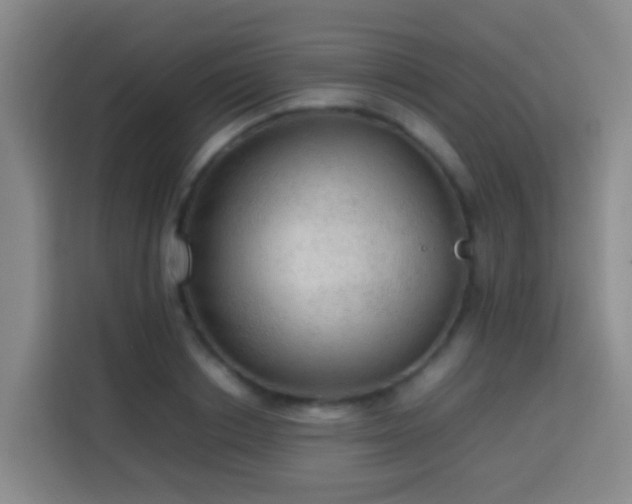 X0000113780842200909301148