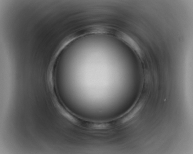 X0000113780843200909301148