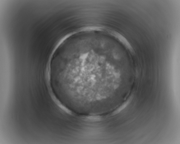 X0000113780844200909301148