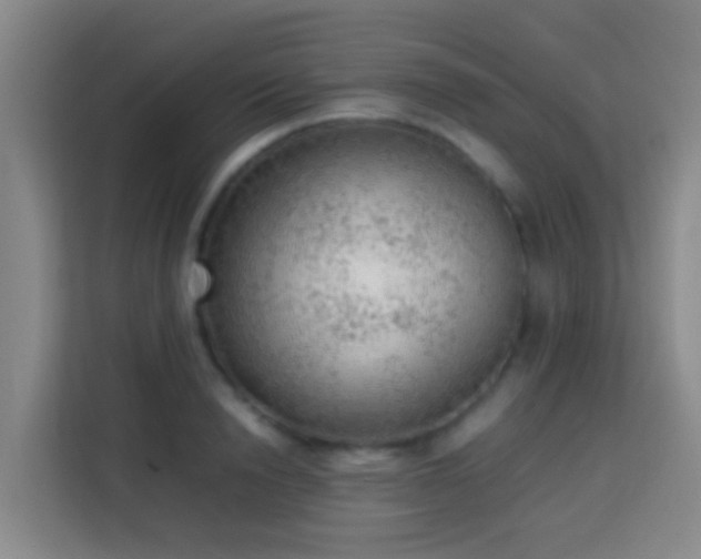 X0000113780846200909301148