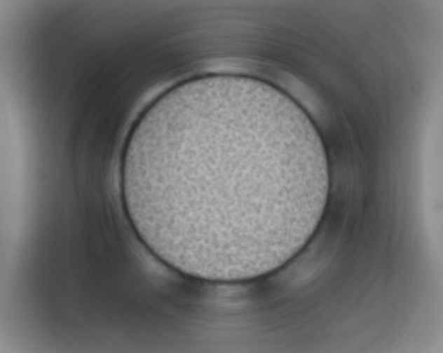 X0000113780848200909301148