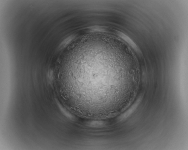 X0000113780849200909301148