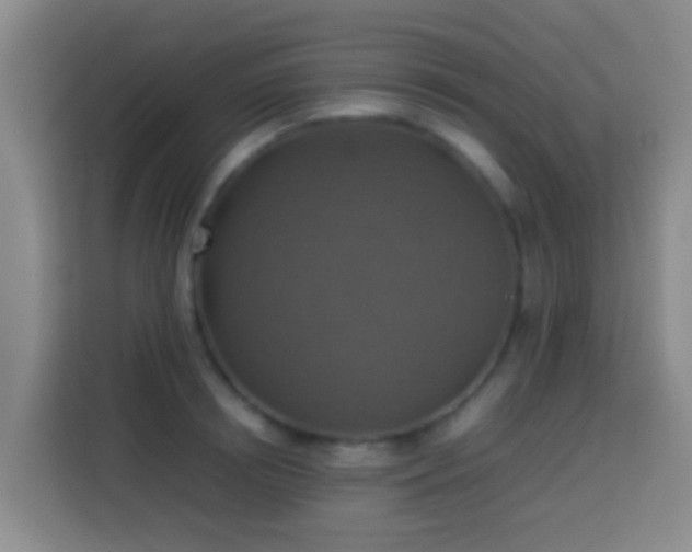 X0000113780850200909301148