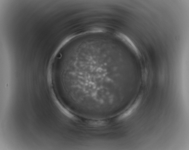 X0000113780851200909301148
