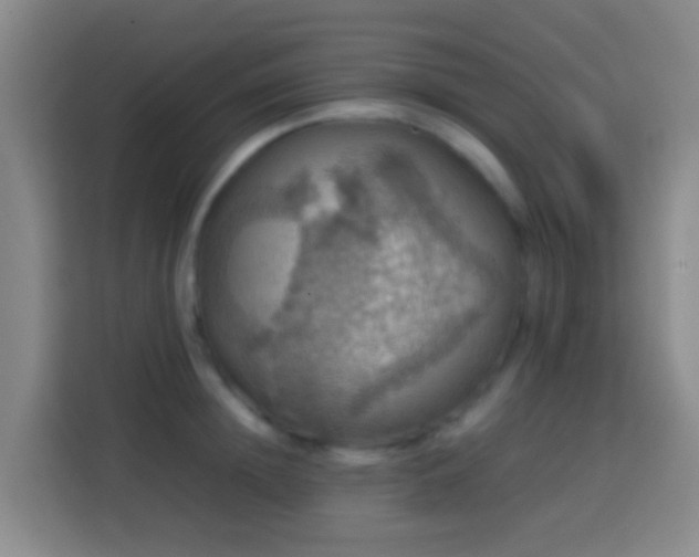 X0000113780852200909301148