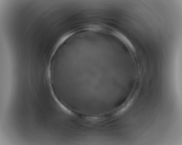 X0000113780855200909301148