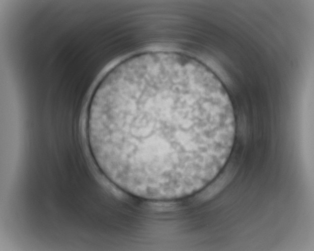 X0000113780856200909301148