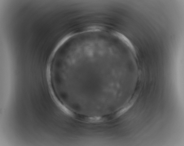 X0000113780859200909301148