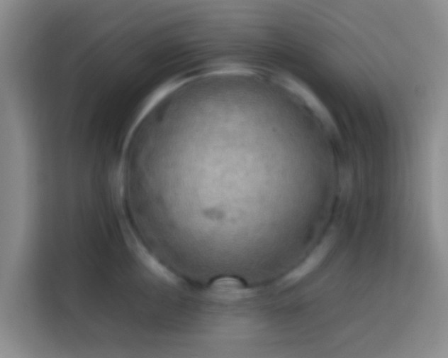 X0000113780860200909301148