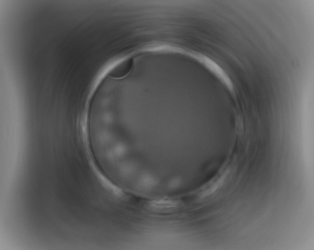 X0000113780863200909301148