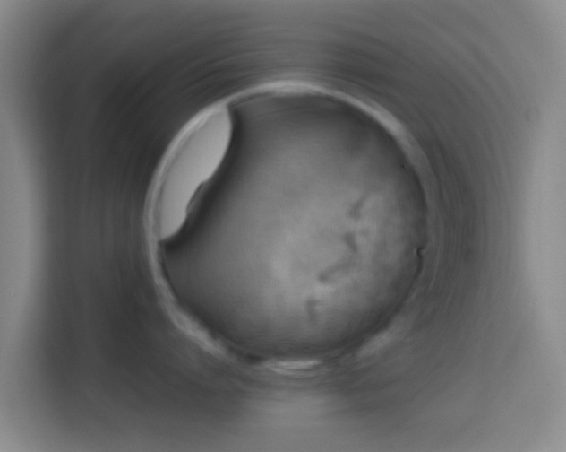 X0000113780864200909301148