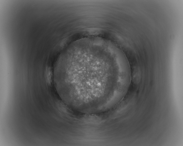 X0000113780866200909301147