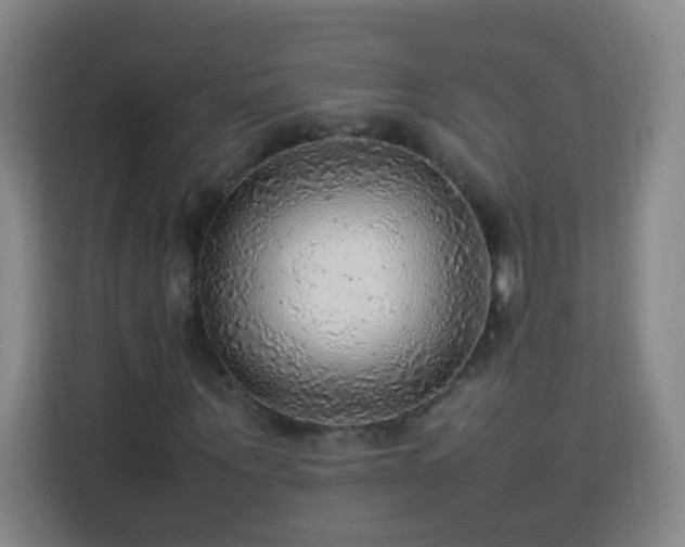 X0000113780867200909301147