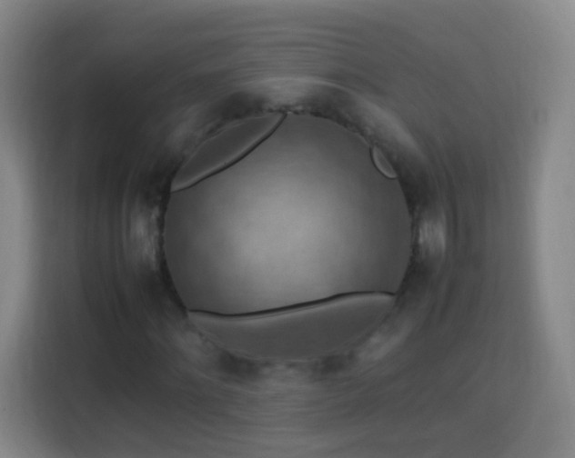 X0000113780868200909301147