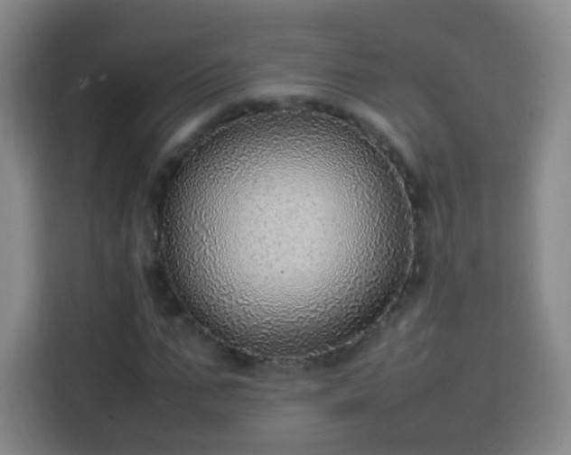 X0000113780871200909301147
