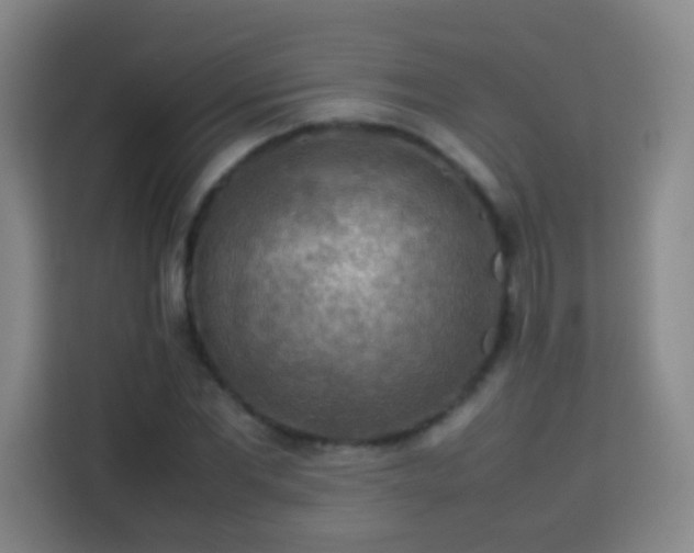 X0000113780877200909301147