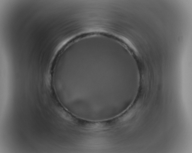 X0000113780879200909301147