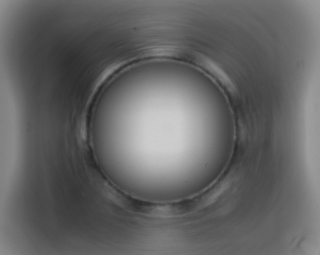 X0000113780883200909301147