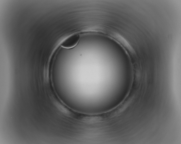 X0000113780884200909301147