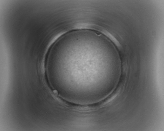 X0000113780885200909301147