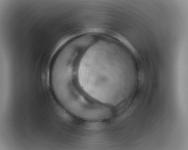 X0000113780886200909301147