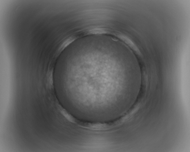 X0000113780889200909301147
