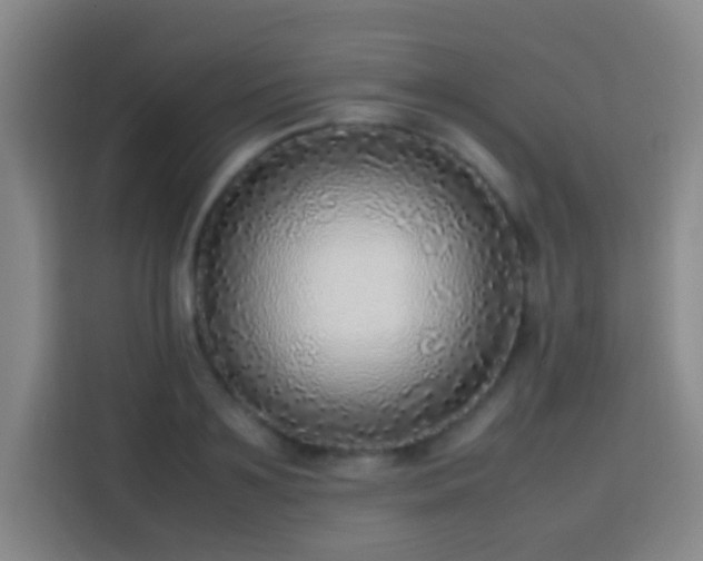 X0000113780891200909301147