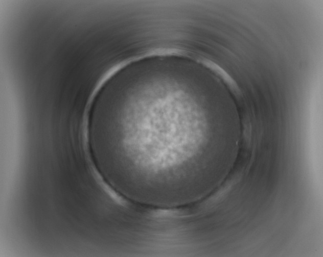 X0000113780894200909301147