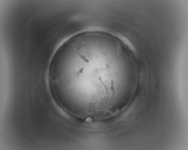X0000113780895200909301147