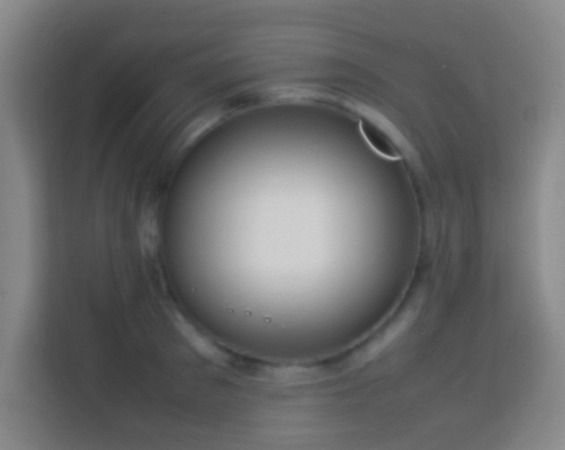 X0000113780897200909301147