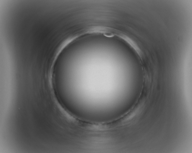 X0000113780901200909301147