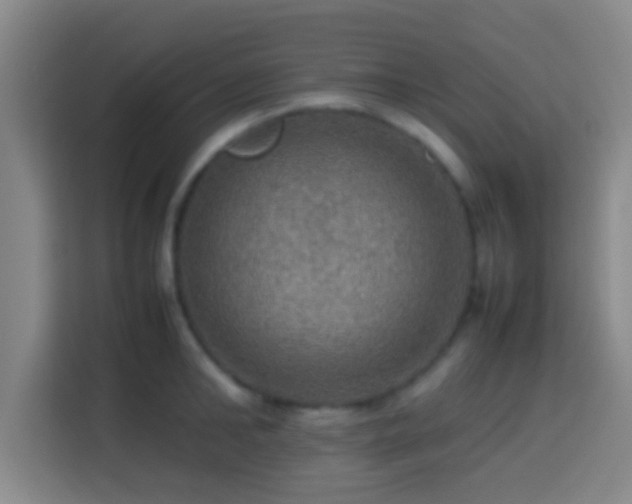 X0000113780902200909301147