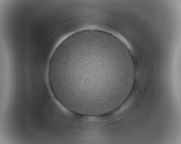 X0000113780903200909301147