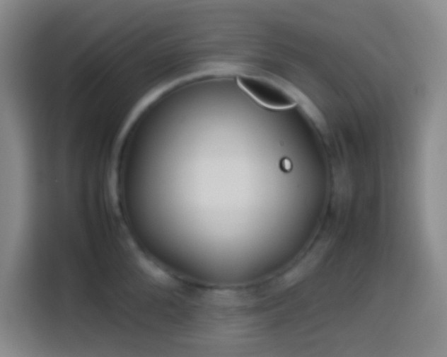 X0000113780904200909301147