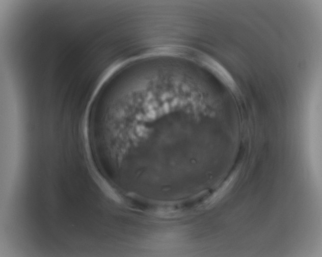 X0000113780907200909301147
