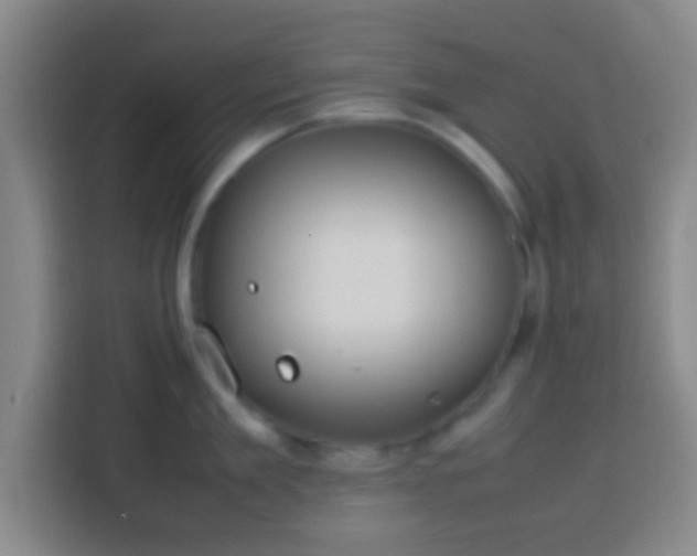 X0000113780909200909301147