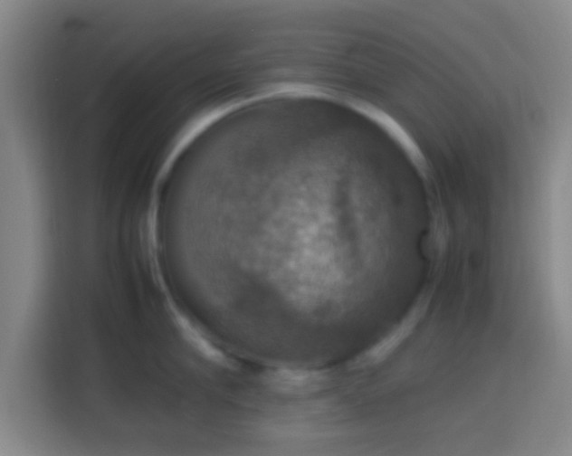 X0000113780910200909301147