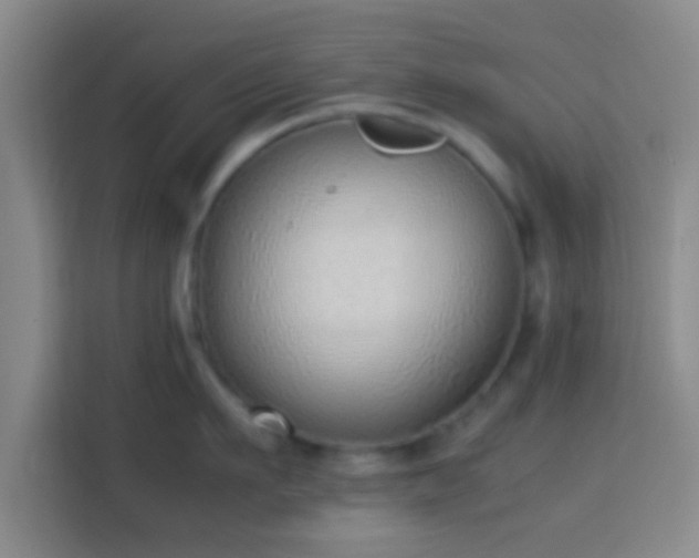 X0000113780911200909301147