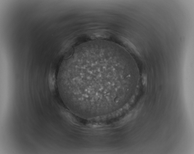 X0000113780915200909301146