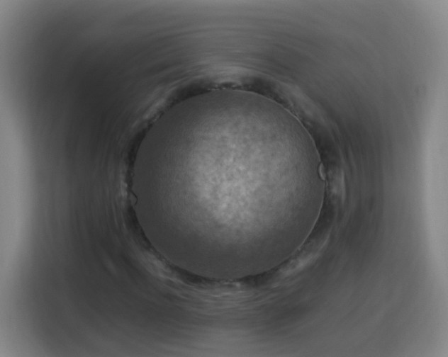 X0000113780916200909301146